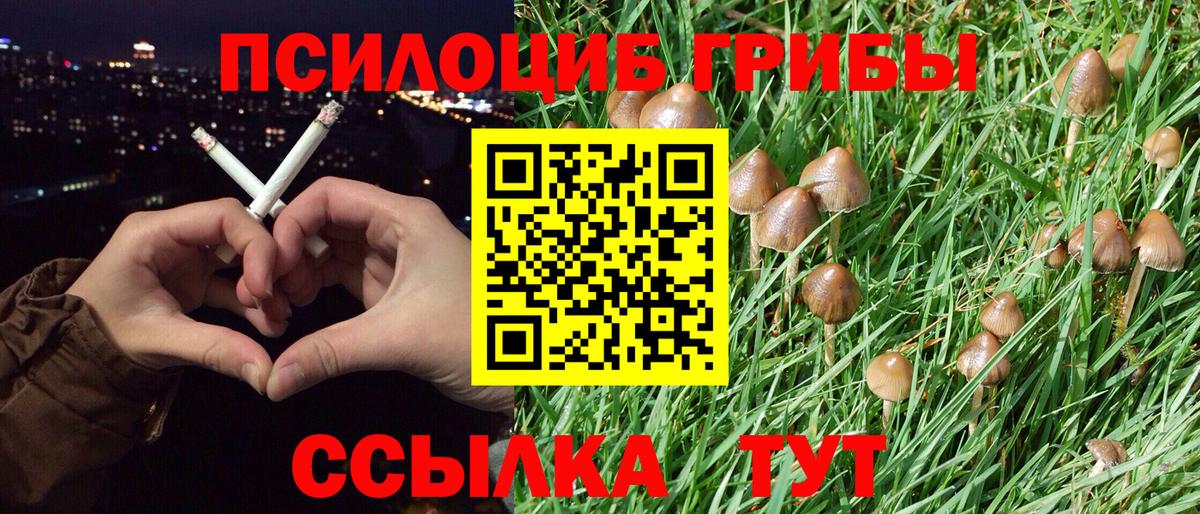 Псилоцибиновые грибы GOLDEN TEACHER  Вход с VPN  Коломна 